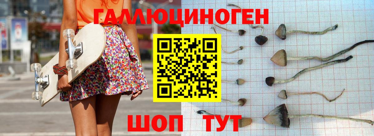 Псилоцибиновые грибы Psilocybe  Вход с VPN  как найти закладки  Верхняя Салда  Псилоцибиновые грибы MAGIC MUSHROOMS 