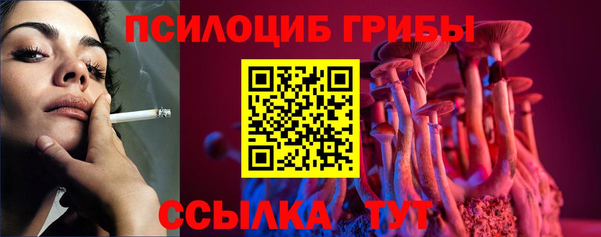 Псилоцибиновые грибы Psilocybe Верхняя Салда
